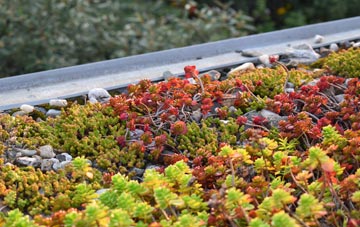 the cost of Linton On Ouse green roof installation