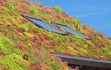 Linton On Ouse living roof systems